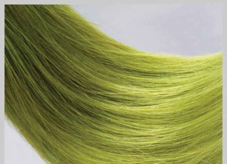 Kolor roku 2017 odtworzony na włosach dzięki farbie Goldwell Elumen pantone greenery elumen frame w logo small_w