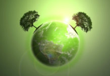 Green – moda czy konieczność fot. Fotolia