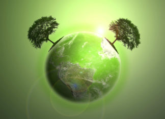 Green – moda czy konieczność fot. Fotolia