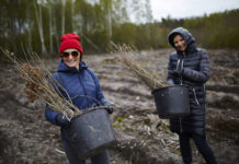 1400 drzew dla Ziemi od fryzjerów i Davines