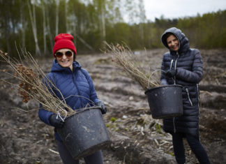 1400 drzew dla Ziemi od fryzjerów i Davines