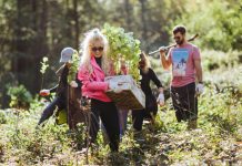 Zrównoważenie poprzez sadzenie. Jak fryzjerzy Davines wspierają polskie lasy Fryzjerzy Davines sadzą drzewa 2021