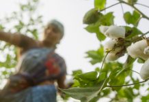 We Sustain Beauty 2023