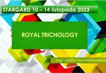 Szkolenie: Royal Trichology Royal Trichology