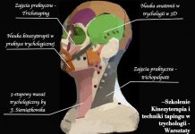 Szkolenie: Kinezoterpia i techniki tapingu w trychologii Trichomed