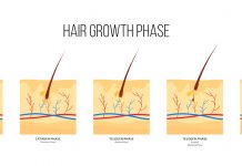 Zrozumieć mapę i linię hormonalną włosów Fot. Obraz licencjonowany przez Depositphotos.com/Drukarnia Chroma
