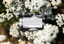 GROW BEAUTIFUL Davines We Stand