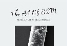 Wystawa SEM of ART Wystawa SEM of ART
