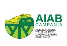 Etyczne podejście do procesu wytwarzania kosmeceutyków Vivipharma