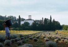 Małe kroki, wielkie efekty Kemon